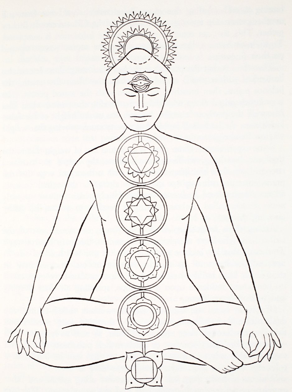 Padmasana eller lotusställning av English School