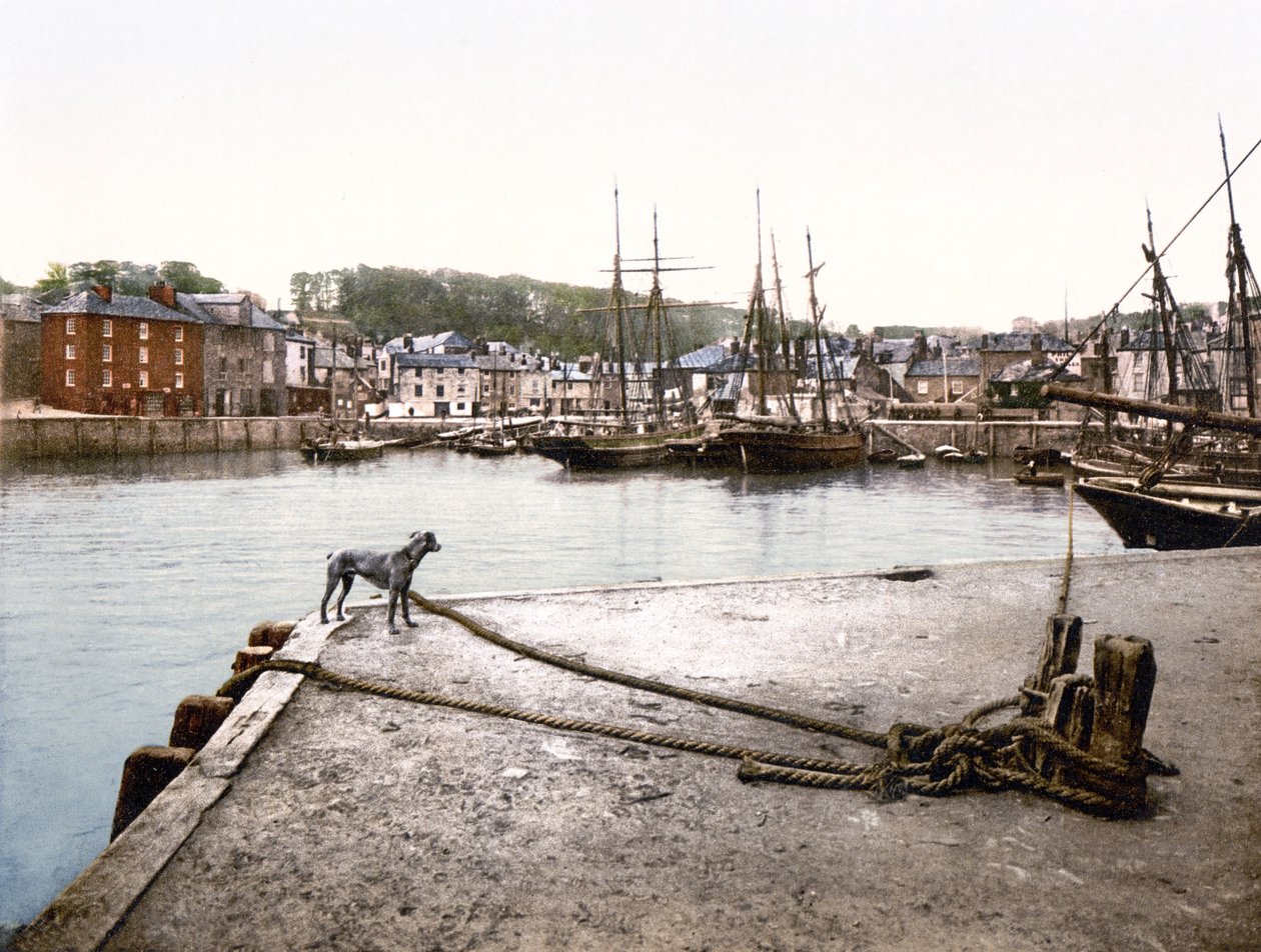 Padstow Quay (handfärgat foto) av English School