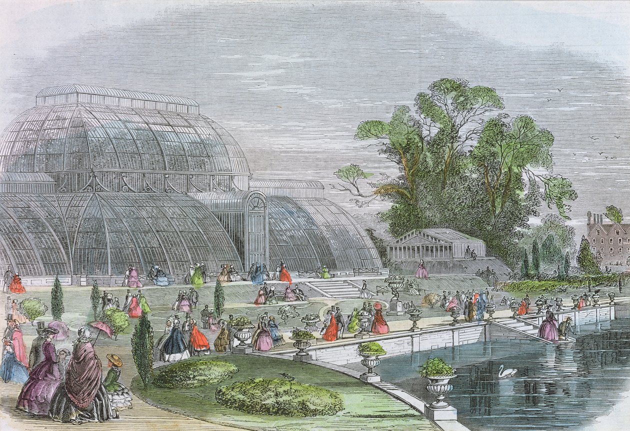 Palm House, Kew (gravyr) av English School