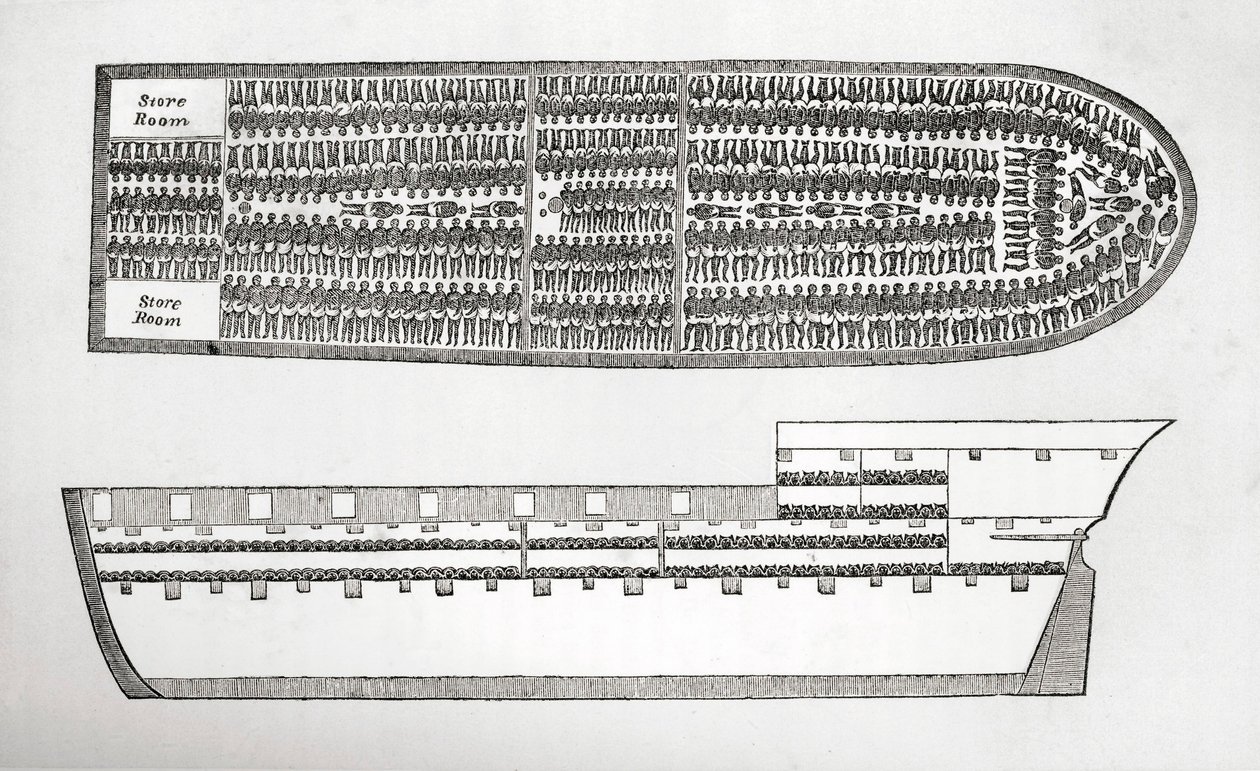 Plan som visar hur slavar transporterades ombord på ett slavskepp i gravyr från 1700-talet. av English School