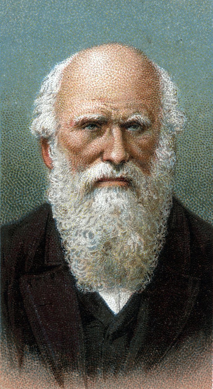 Porträtt av Charles Robert Darwin (1809-1882) - Från serien "" Leaders of Men"" - Kromolitografi - Engelska skolan, 1900-talet - av English School