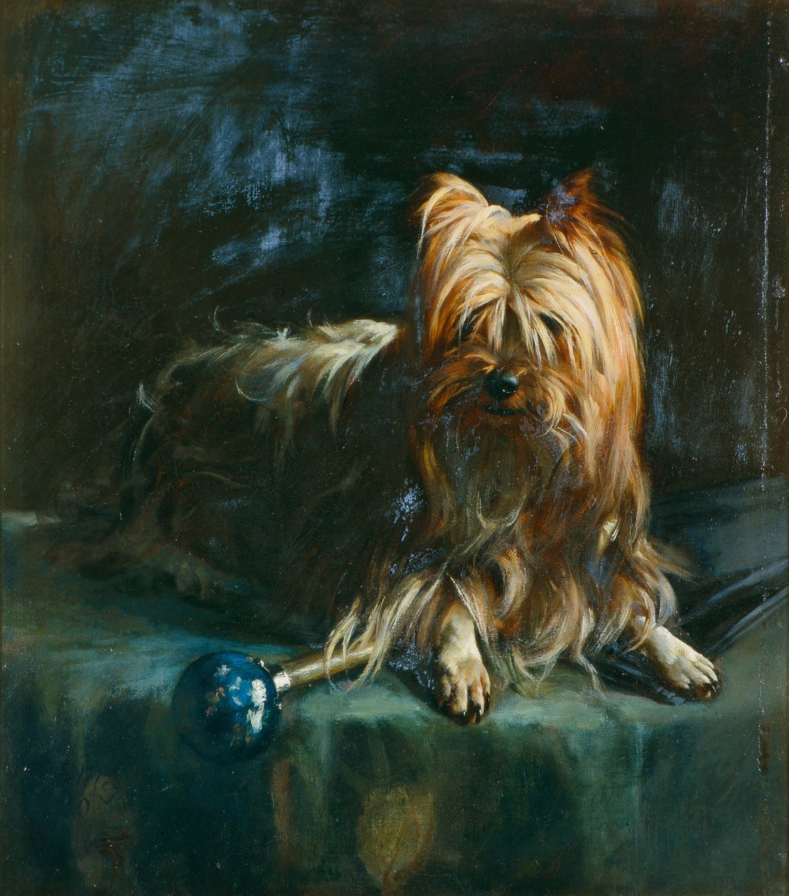 Porträtt av Jim; en Yorkshire Terrier av English School