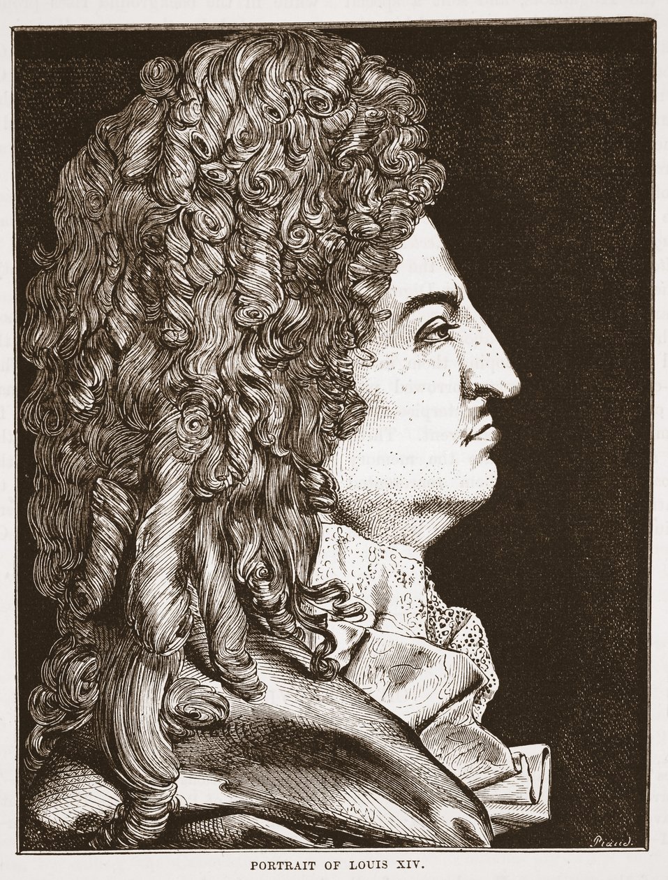 Porträtt av Ludvig XIV av English School
