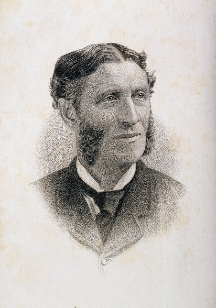 Porträtt av Matthew Arnold (1822-88), av English School