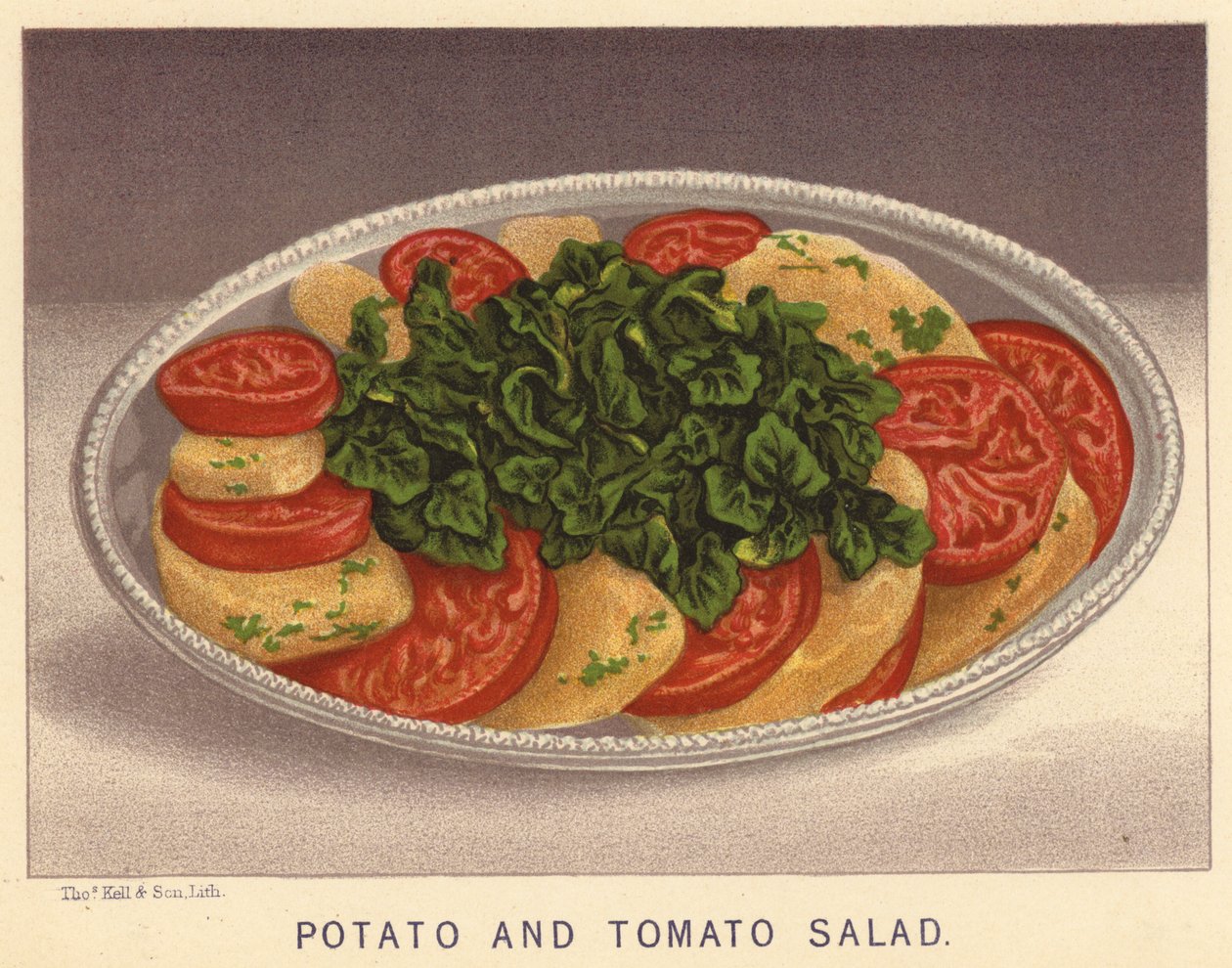 Potatis- och tomatsallad (färglitografi) av English School