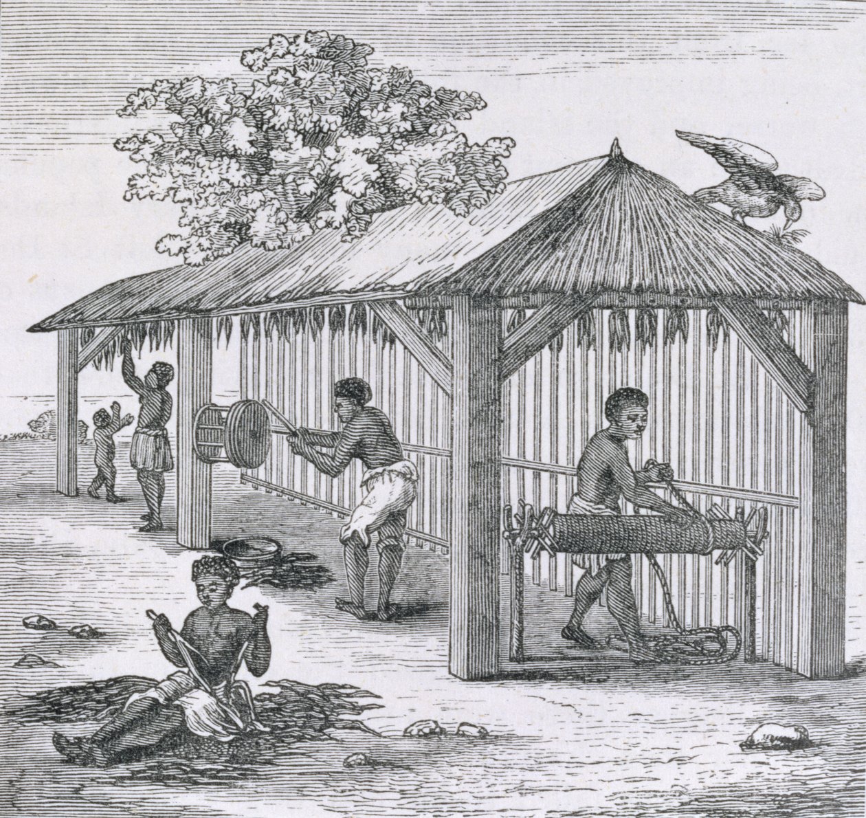 Beredning av tobak, från "Santo Domingo Past and Present" av Samuel Hazard, publicerad i Santo Domingo. 1873 av English School