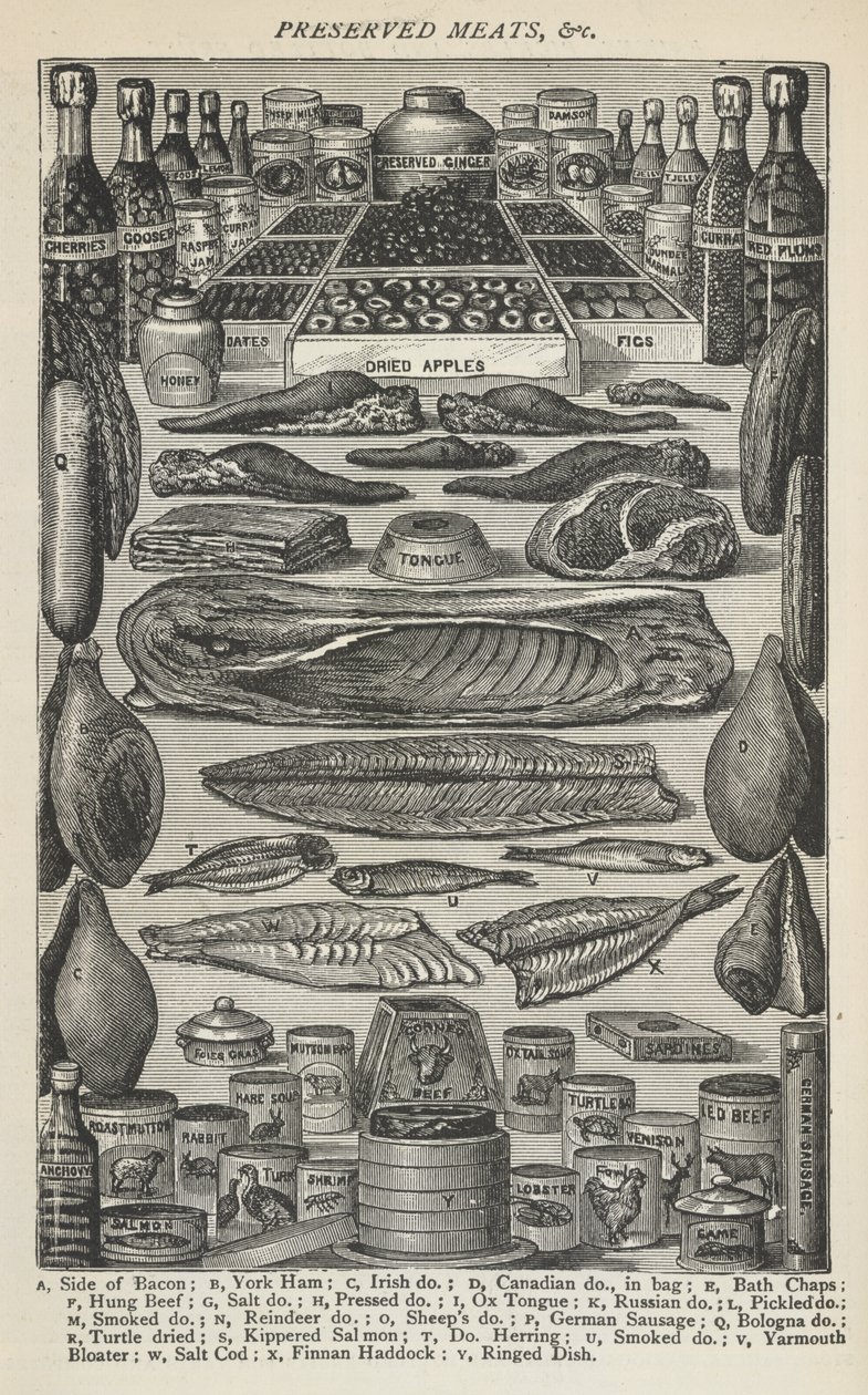 Konserverade kött, från "Beeton