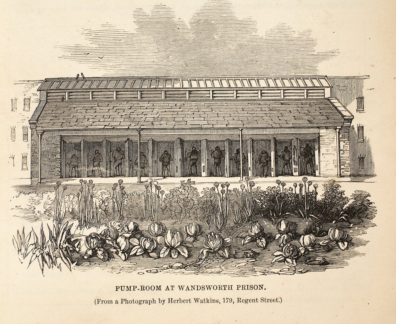 Pumprum i Wandsworth Prison, illustration från The Criminal Prisons of London och Scenes from Prison Life av Henry Mayhew och John Binny, pub. 1862 av English School