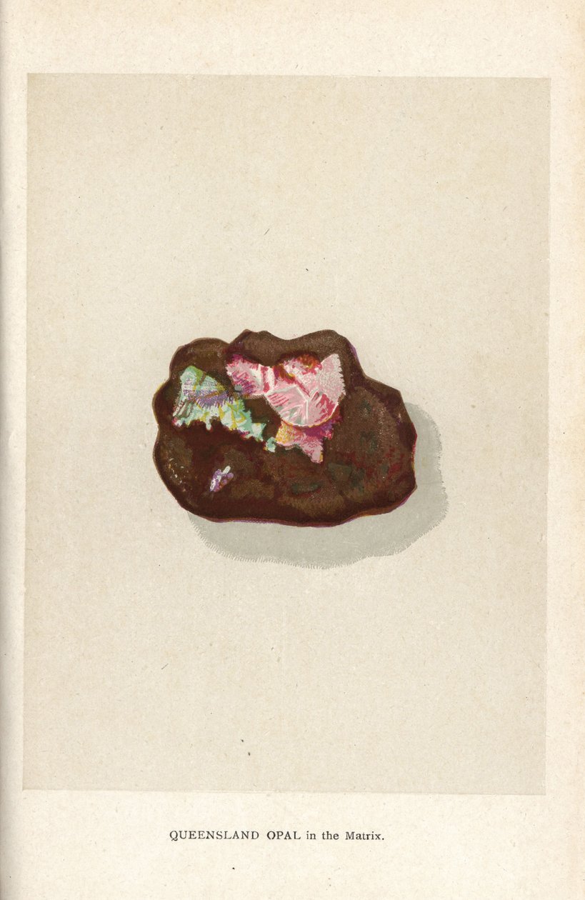 Queensland-opal i matrisen, från Edwin Streeters "Precious Stones and Gems", London, George Bell & Sons av English School