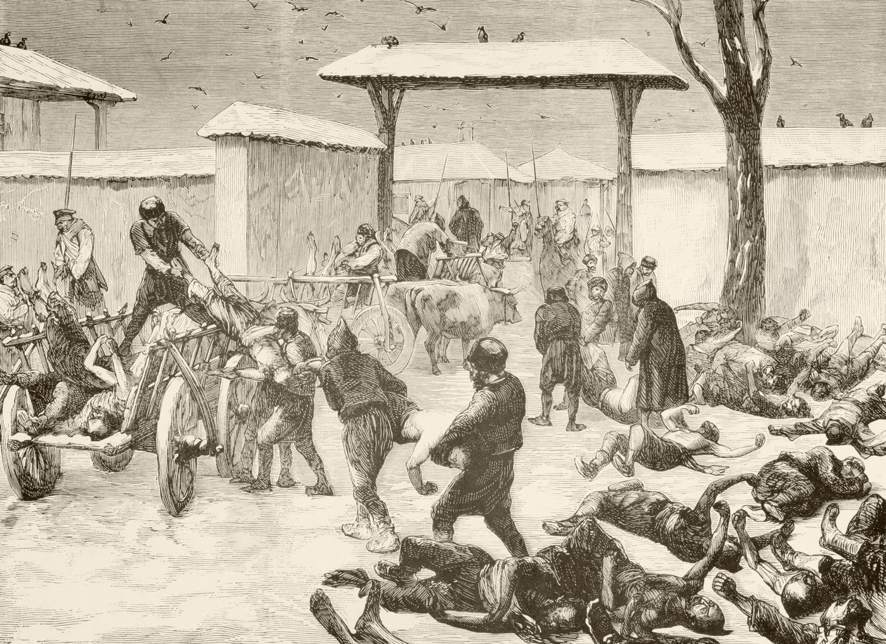 Bärande av de döda efter belägringen av Plevna, Bulgarien 1877 (litografi) av English School