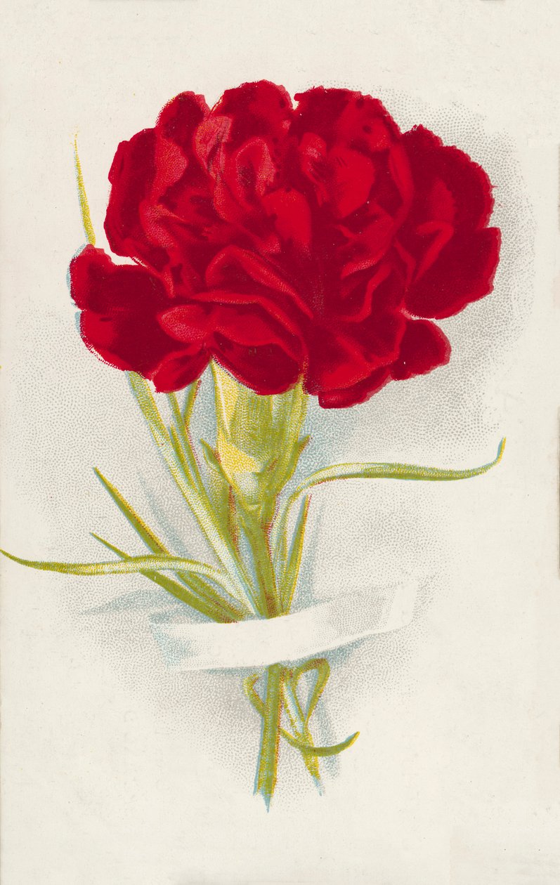 Röd nejlika (chromolitho) av English School