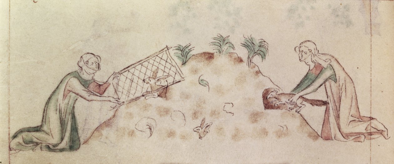 Roy 2 B VII f.155v Kvinnor som fångar en kanin med ett nät och en iller, från 