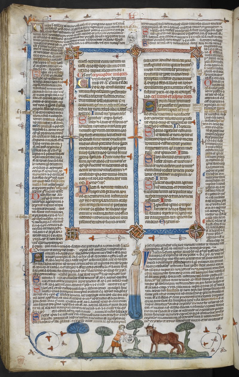 Royal 10 E IV fol. 294v Man attackerar en oxe, från Smithfield Decretals (Decretals of Gregory IX) c.1340 (vellum) av English School