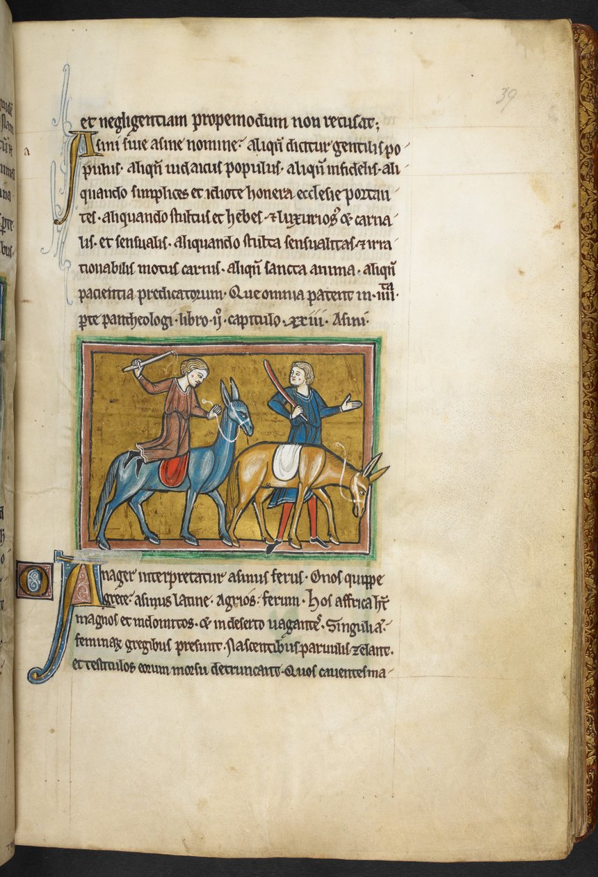 Royal 12 F.XIII, f.39   Två män med två män med åsnor. , från Bestiary (ff. 3-141), Lapidary (ff. 141v-149)  , 1200-talets andra kvartal (vellum) av English School