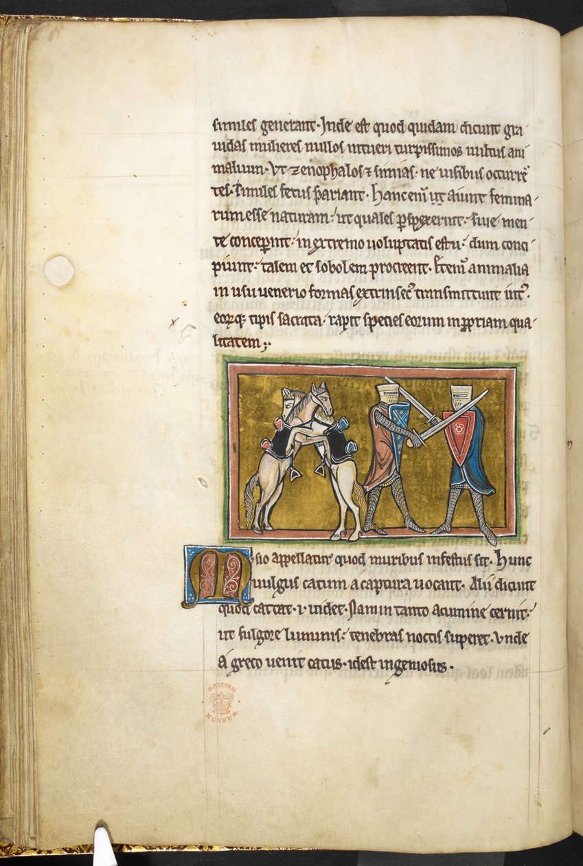 Royal 12 F.XIII, f.42v Två riddare slåss till fots med svärd, medan deras hästar slåss mot varandra på bakbenen. , från Bestiary (ff. 3-141), Lapidary (ff. 141v-149)  , 1200-talets andra kvartal (vellum) av English School