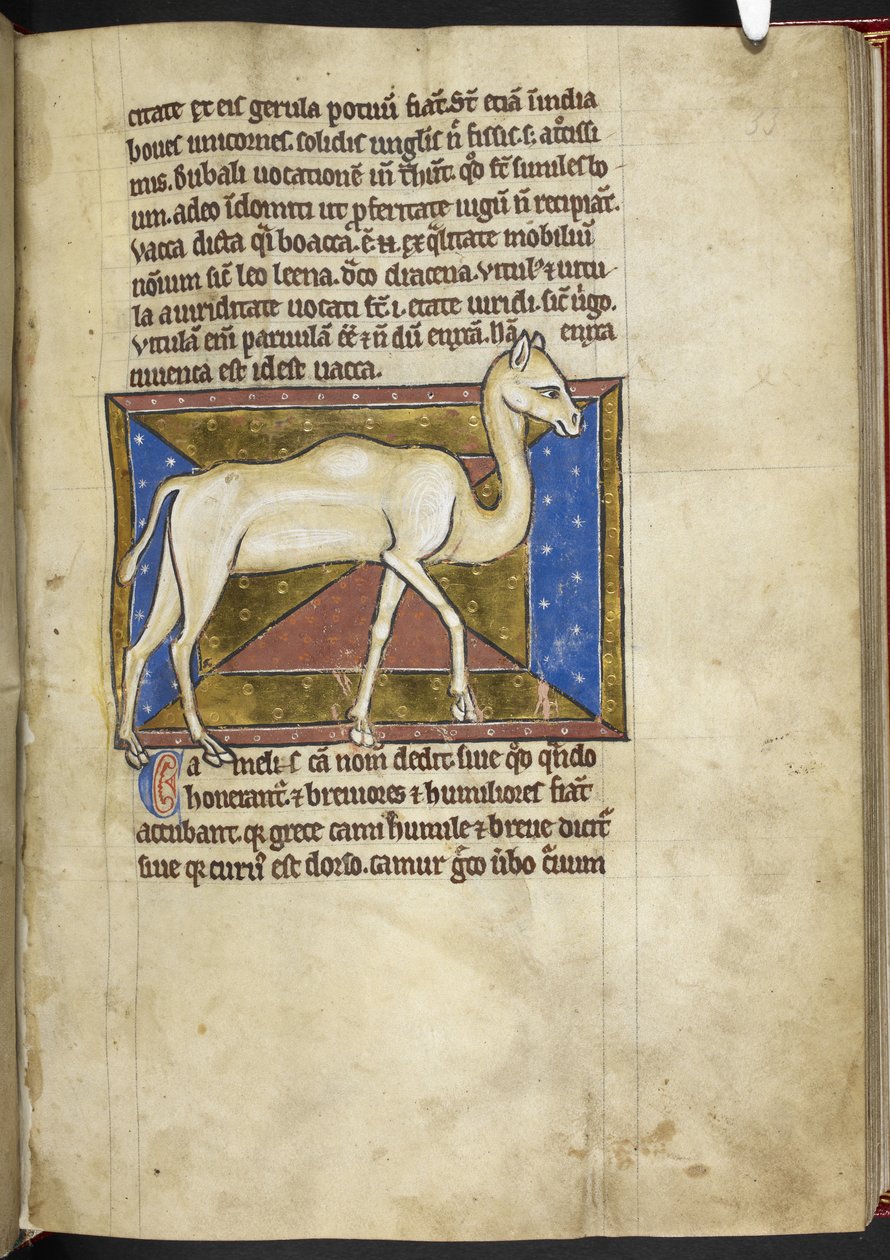 Royal MS 12 C XIX, f.33r Camel, från 