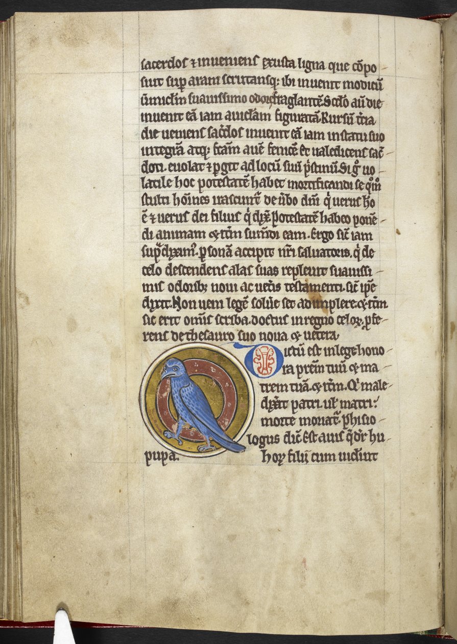 Royal MS 12 C XIX f.50v, Hoopoe, från 