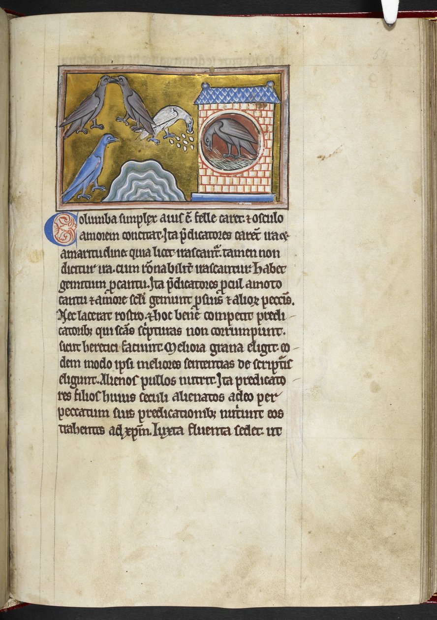 Royal MS 12 C XIX f.54r Doves, från 