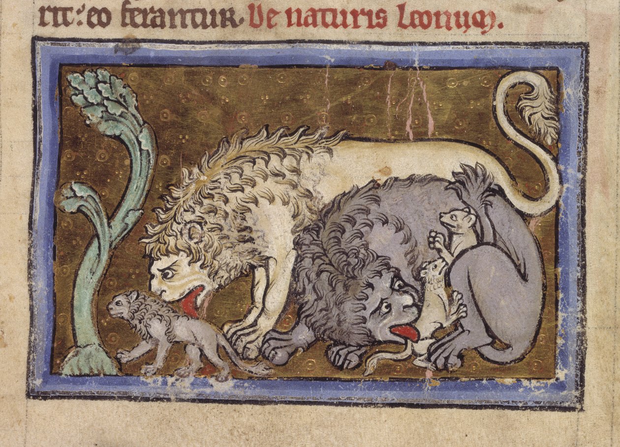Royal MS 12 C XIX, f.6r Lions, från 
