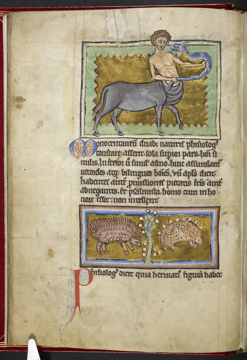 Royal MS 12 C XIX, f.8v Centaur, från 