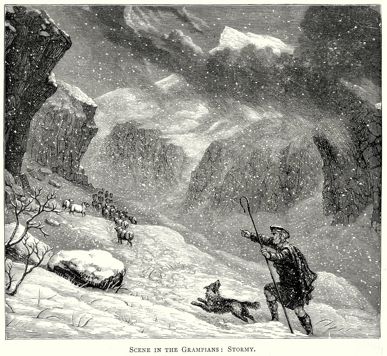 Scen i Grampians: Stormy (gravyr) av English School