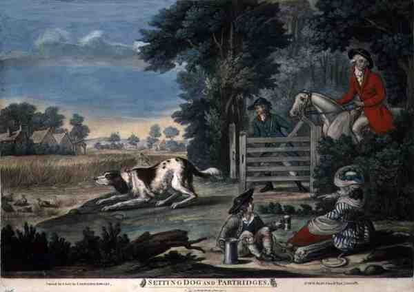 Inställning hund och rapphöns, pub. av Carington Bowles (fl.1744-93) av English School