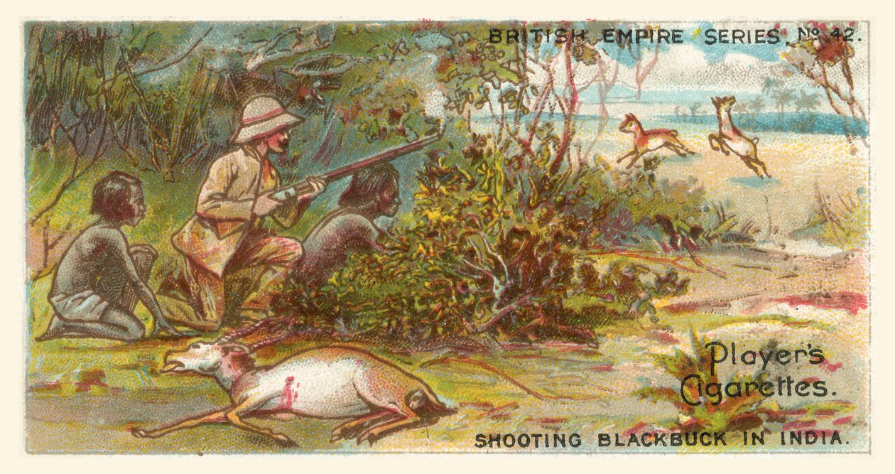 Fotografering av svartbock i Indien (chromolitho) av English School