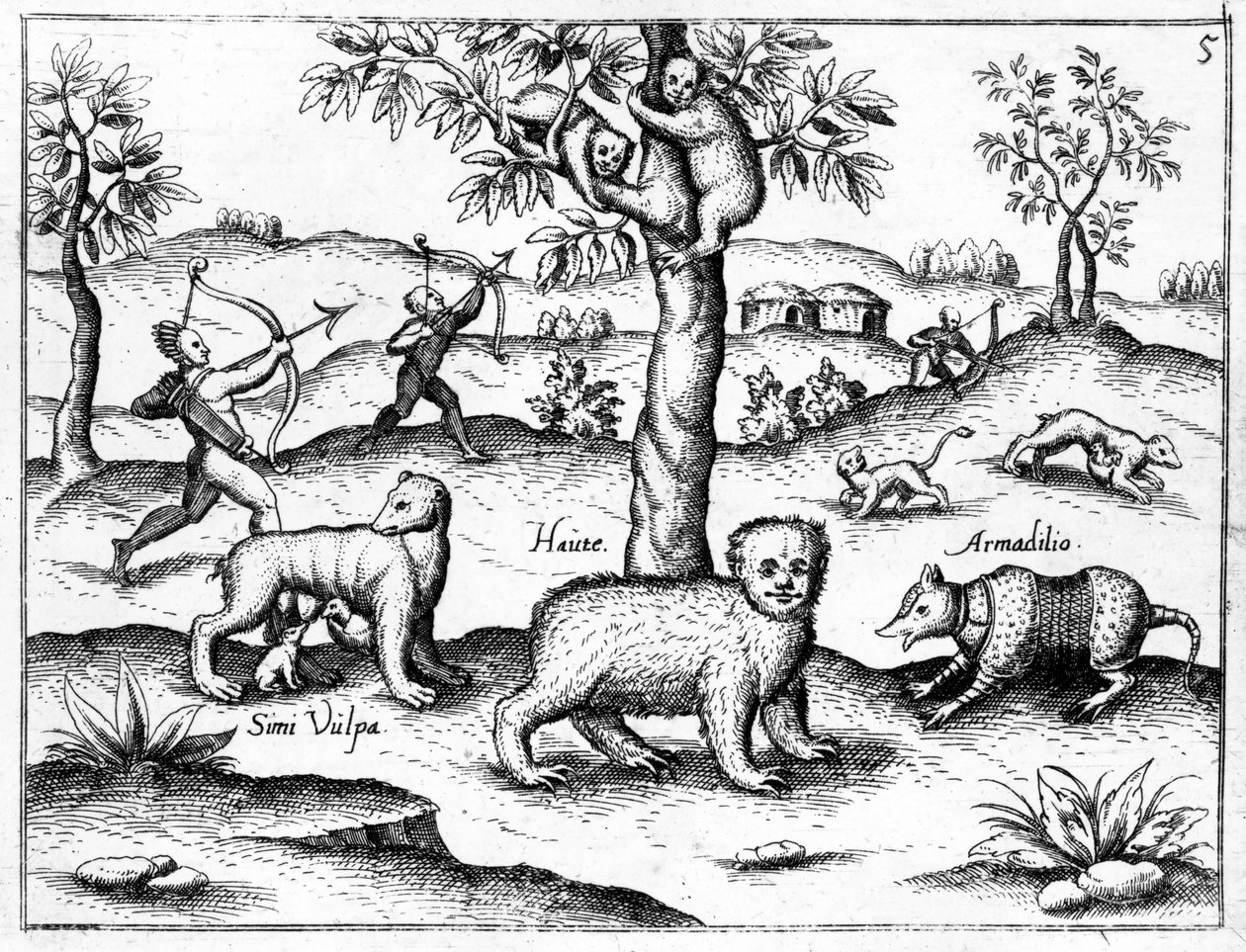 Simi Vulpa, Haute och Armadilio, illustration från "The Discovery of Guiana" av Sir Walter Raleigh, publicerad omkring 1599. av English School
