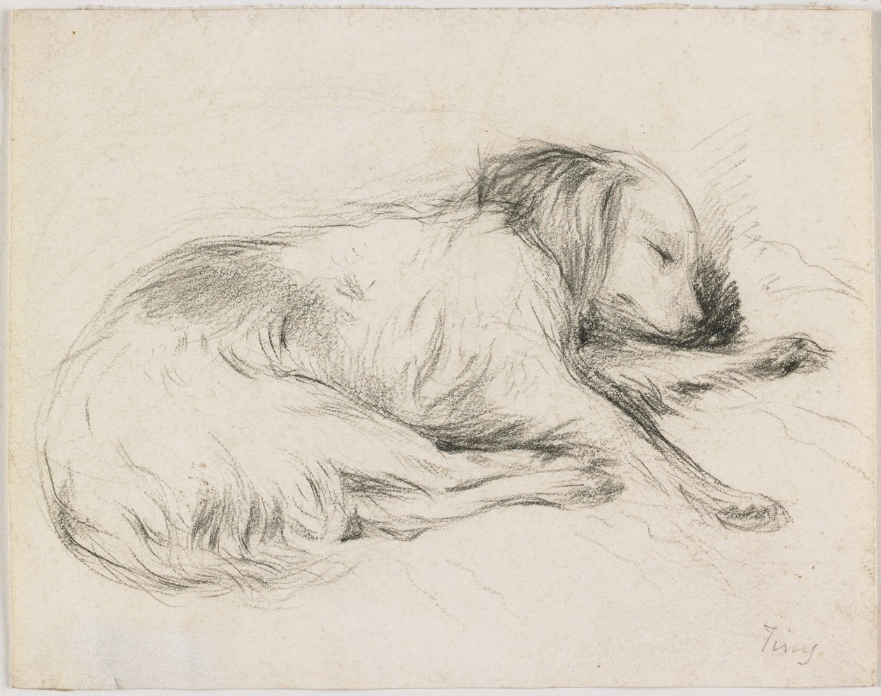Sleeping Dog, ca 1840 (grafit på papper) av English School