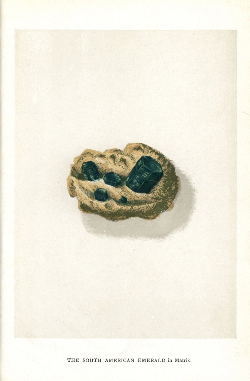 Sydamerikansk smaragd i matris, från Edwin Streeters "Precious Stones and Gems", London, George Bell & Sons av English School