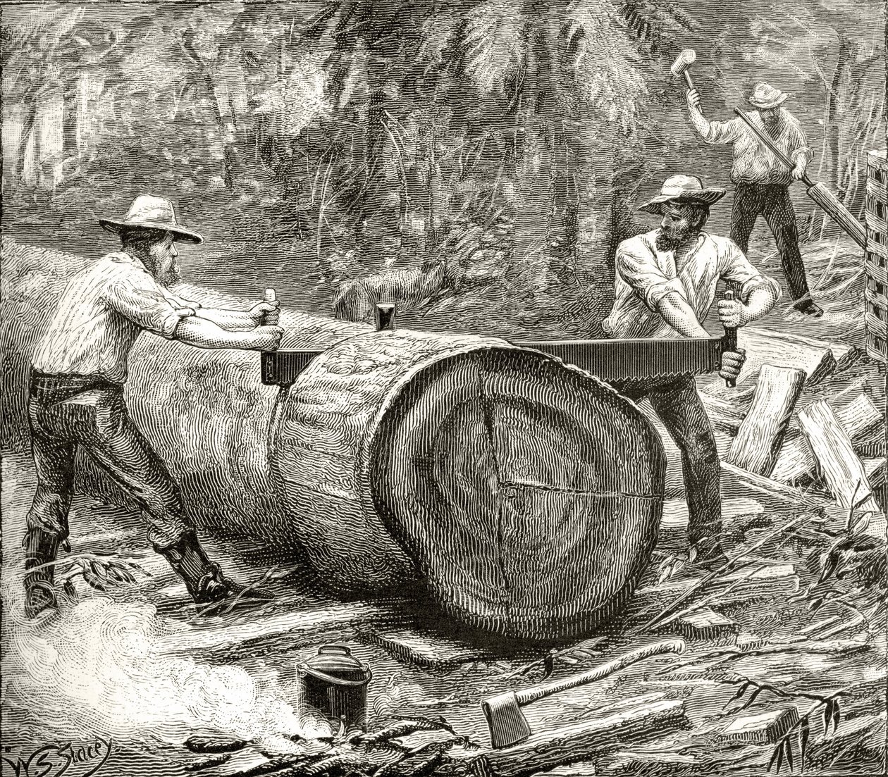 Splitters in the Bush, ca 1880, från "Australian Pictures" av Howard Willoughby, utgiven av Religious Tract Society, London, 1886. av English School