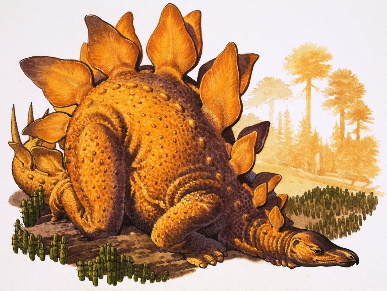 Stegosaurus (gouache på papper) av English School