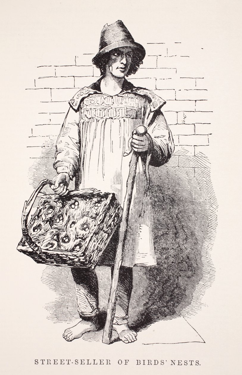 Gatusäljare av fågelbon, illustration från London Labor och London Poor av Henry Mayhew, pub. 1862 av English School