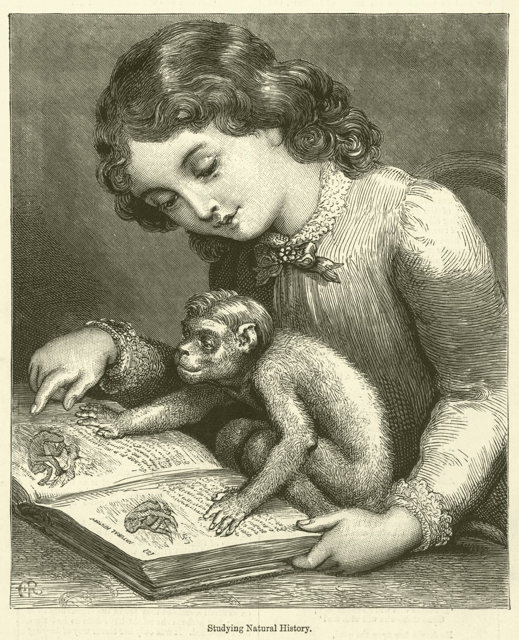 Studerar naturhistoria (gravyr) av English School