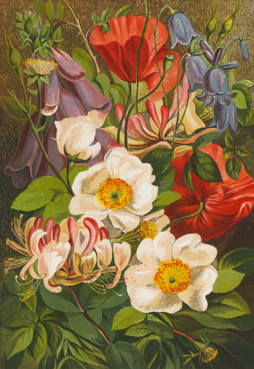 Sommarblommor (färglitografi) av English School