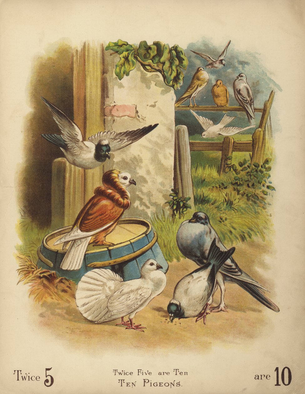 Tio duvor (chromolitho) av English School