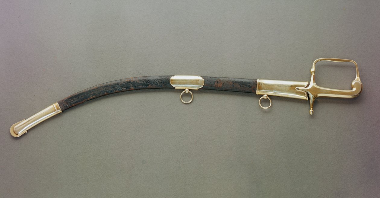 The Duke of Wellingtons Sword (metall och läder) av English School