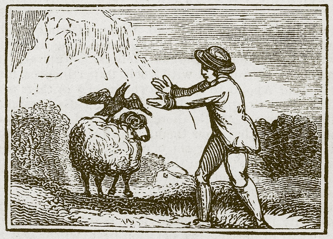 Örnen och kråkan (gravyr) av English School