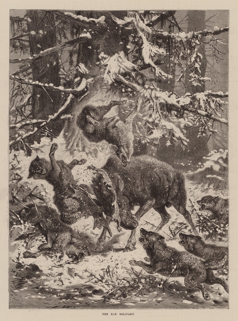 The Elk Militant (gravyr) av English School