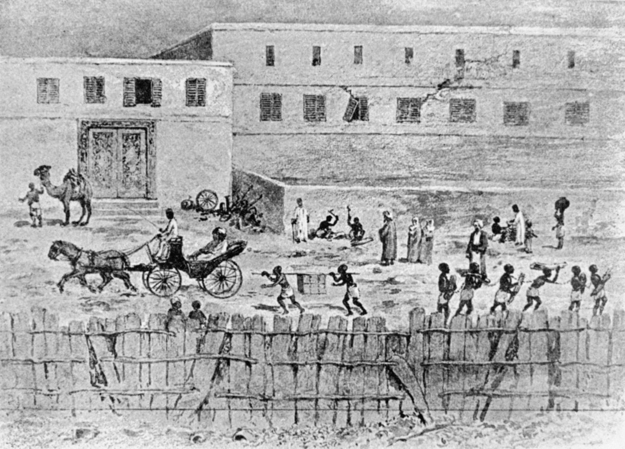 The Esplanade, Zanzibar, från "The Arab and the African", av Septimus Tristram Pruen av English School
