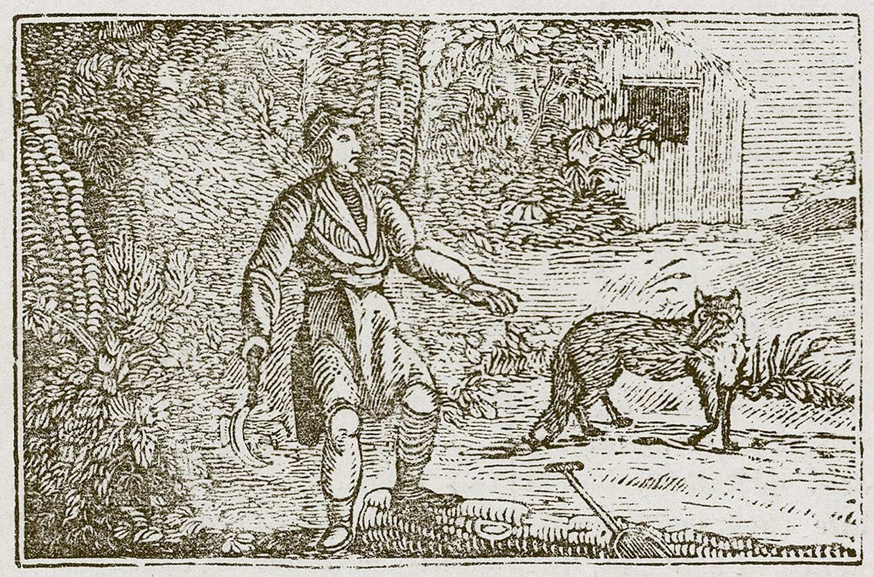 Räven och lantmannen (gravyr) av English School
