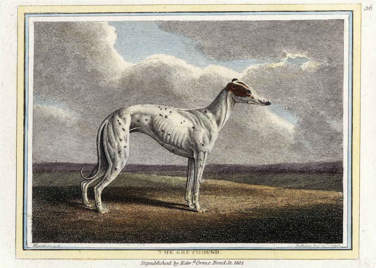 The Greyhound, pub. 1812 (handfärgad gravyr) av English School