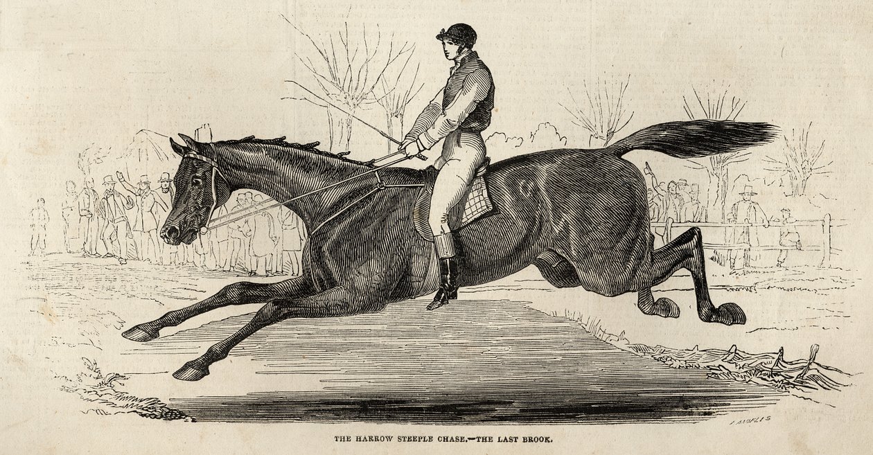 The Harrow Steeple Chase: The Last Brook, från 