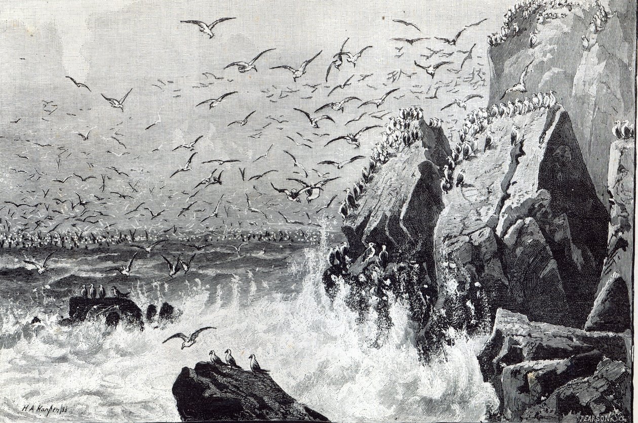 The Haunt of the Gulls, från 