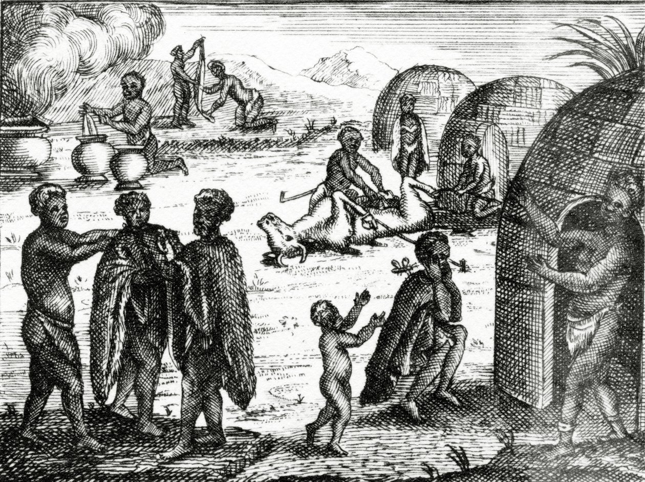 Hottentotterna avgudar en viss insekt, illustration från 
