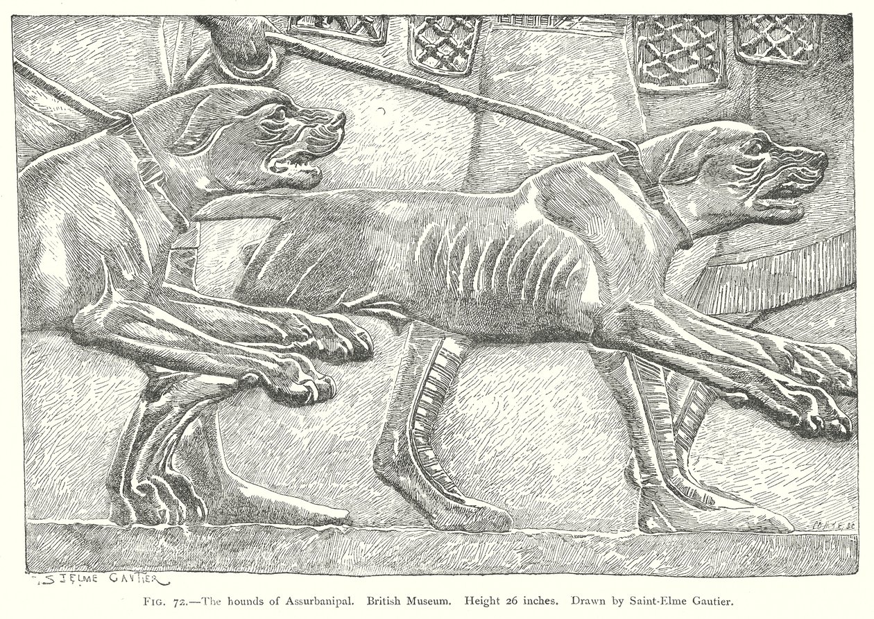 Assurbanipals hundar. British Museum (gravyr) av English School