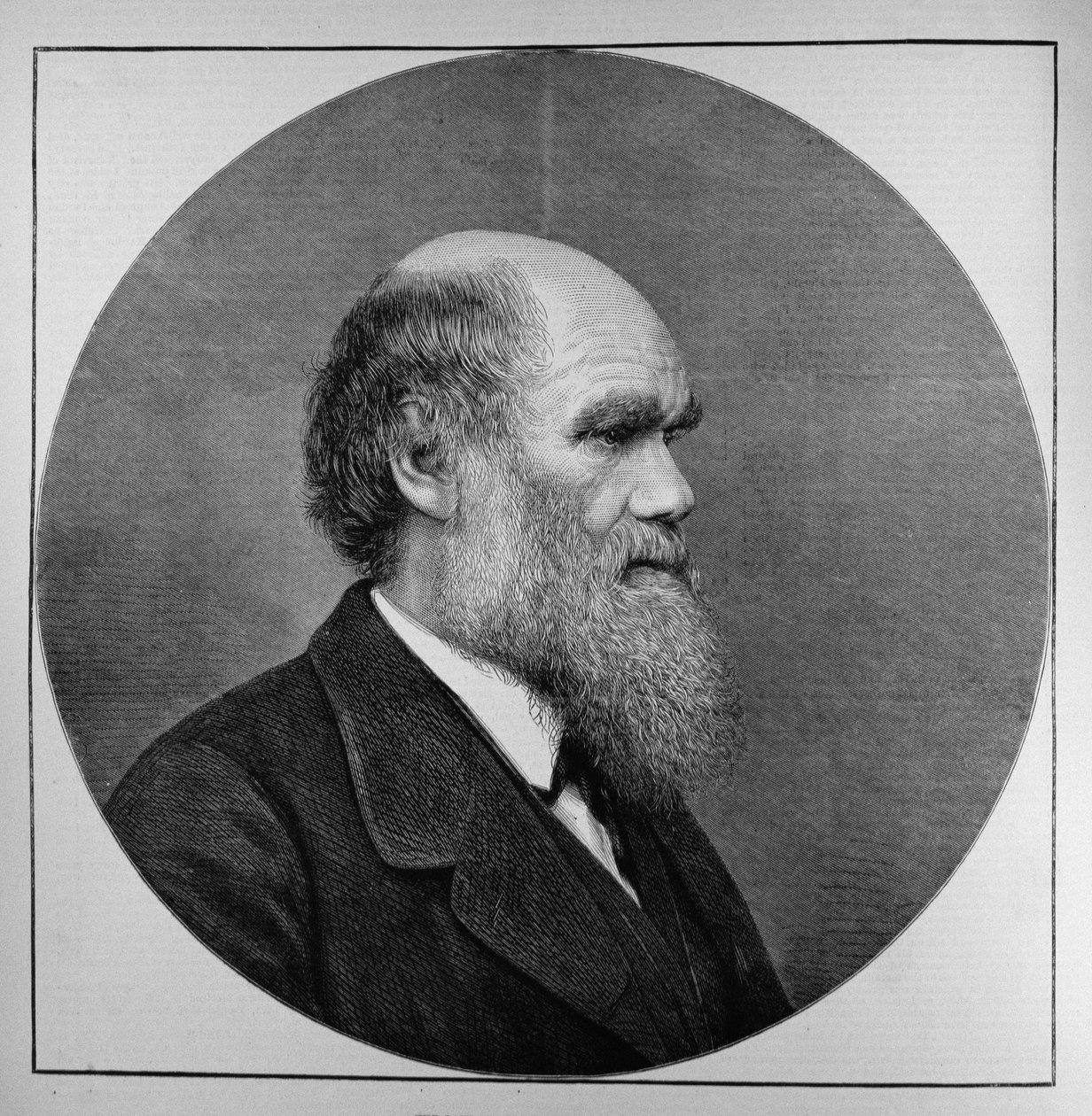 The Late Mr C. R. Darwin, FRS, LLD, från The Illustrated London News, 29 april 1882 av English School
