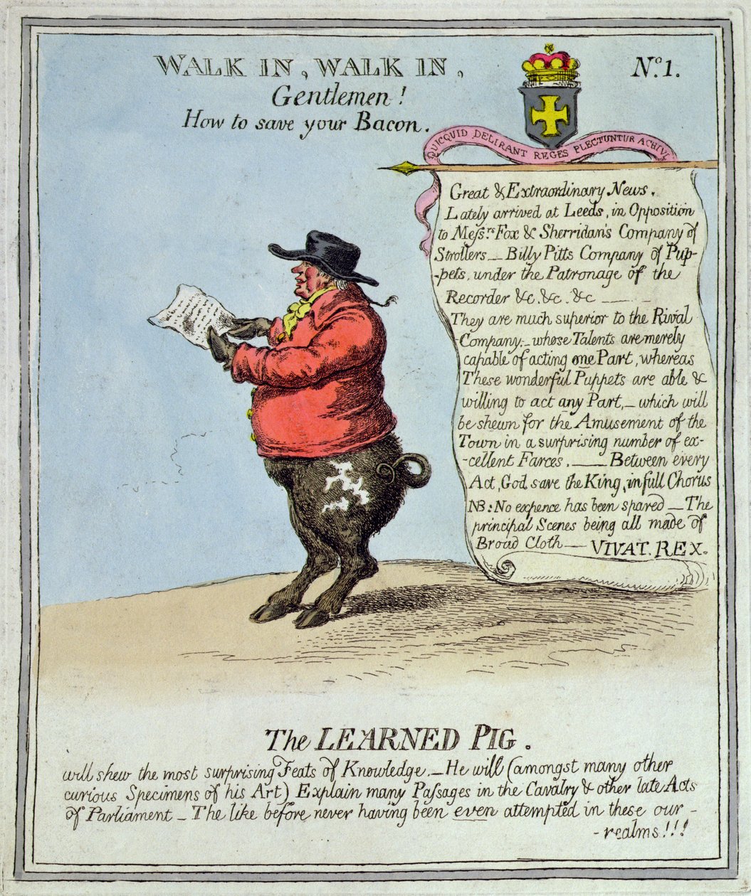 The Learned Pig (handfärgad etsning) av English School