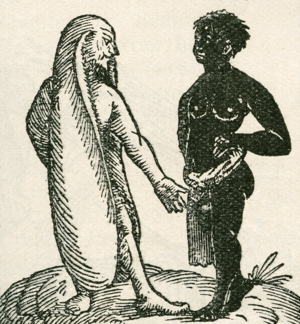 Den långörade mannen skäller ut sin tjänare. Långörade män sades bo i Afrika. De sades sova liggande på ena örat med det andra täckande dem som en filt. Från The Strand Magazine publicerad 1897. av English School
