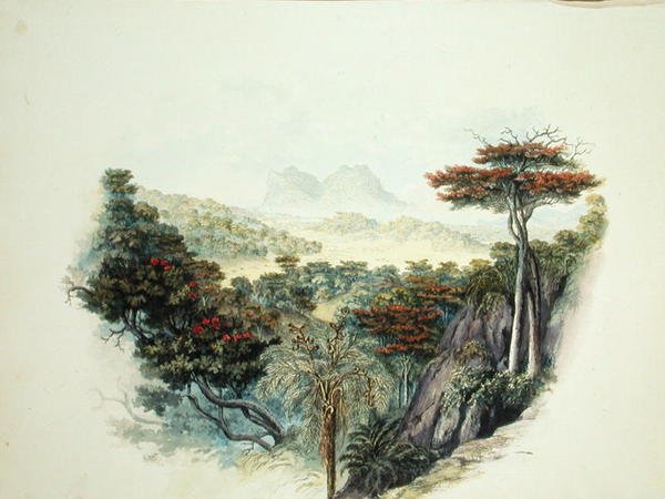 The Mountains, Ceylon (akvarell på papper) av English School